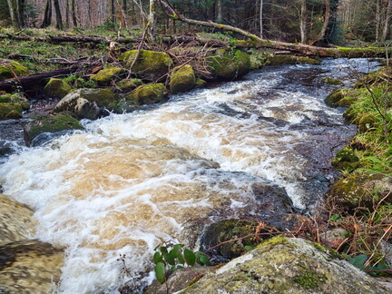 20220205202116-16fdf034